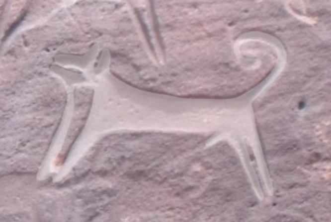 Древнейшее изображение собак обнаружили в Аравийской пустыне