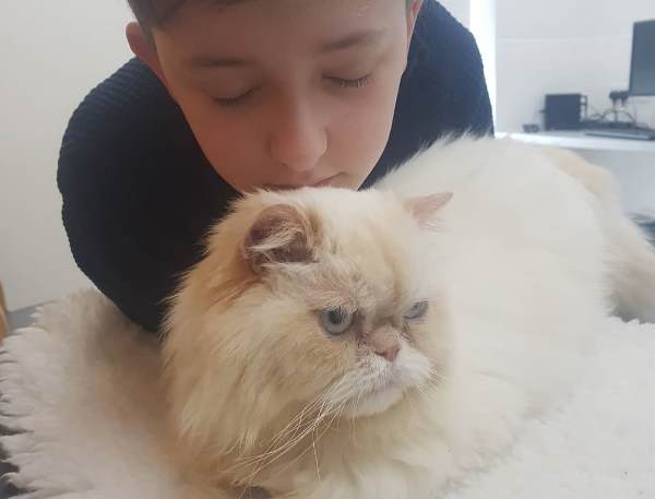 Кот помог мальчику-аутисту, а потом мальчик сделал все, чтобы помочь коту после травмы