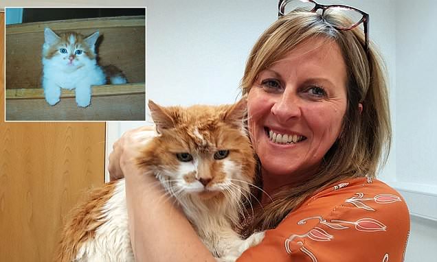 Самая старая кошка в мире отпраздновала 30-летие