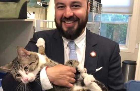Нью-Йоркский политик спас кота с оживленного шоссе