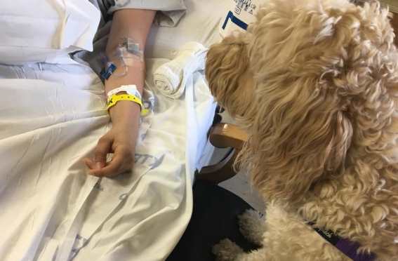 Девушка вышла из длительной комы после того как ее руку лизнула собака