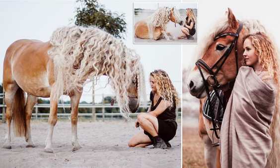 В Интернете нашли лошадь, похожую на диснеевскую принцессу
